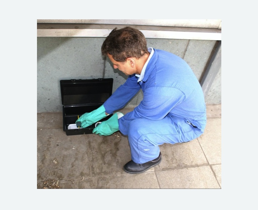 Дератизация помещения в Артёме Дератизация помещения