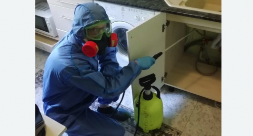 Уничтожение муравьев в квартире. Артём