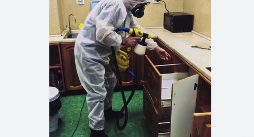 Уничтожение насекомых в квартире. Артём
