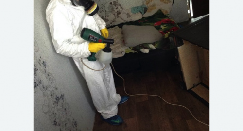 Обработка квартир от насекомых в Артёме