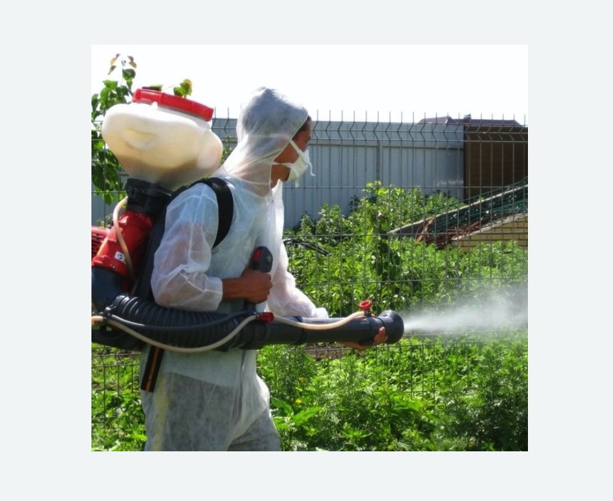 Акарицидная обработка территории в Артёме