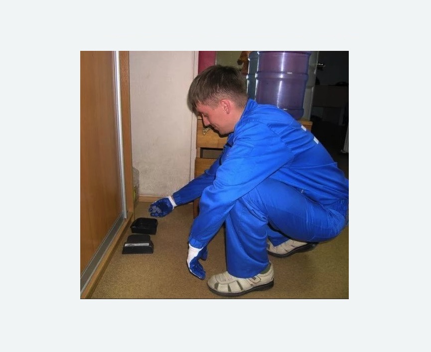 Дератизация крыс Дератизация крыс в Артёме