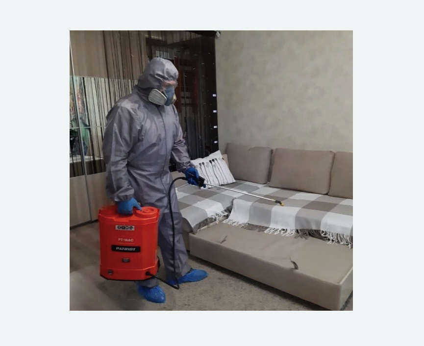 Обработка квартиры от блох в Артёме Обработка квартиры от блох