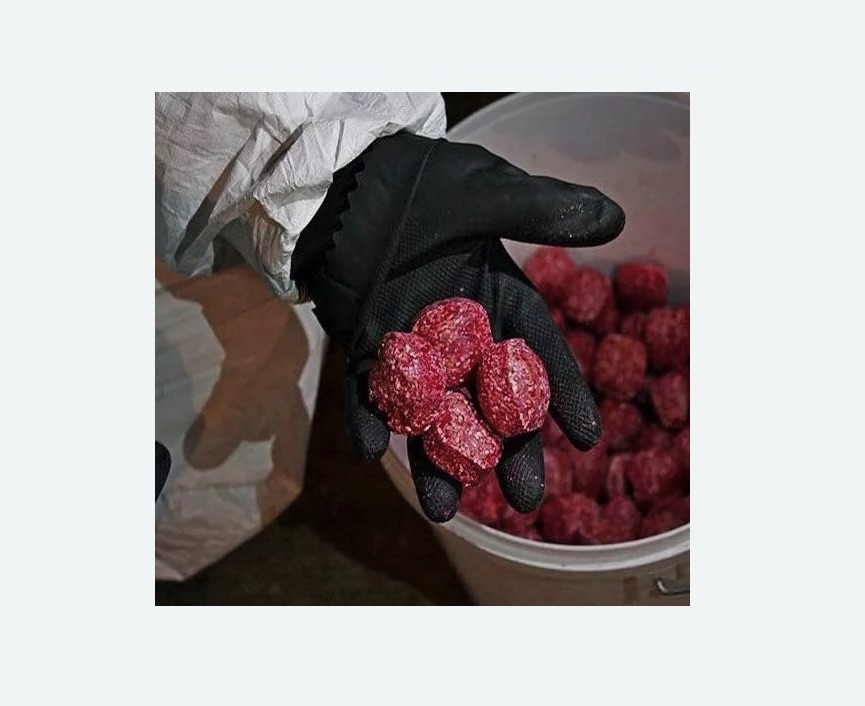 Обработка от крыс Обработка от крыс в Артёме