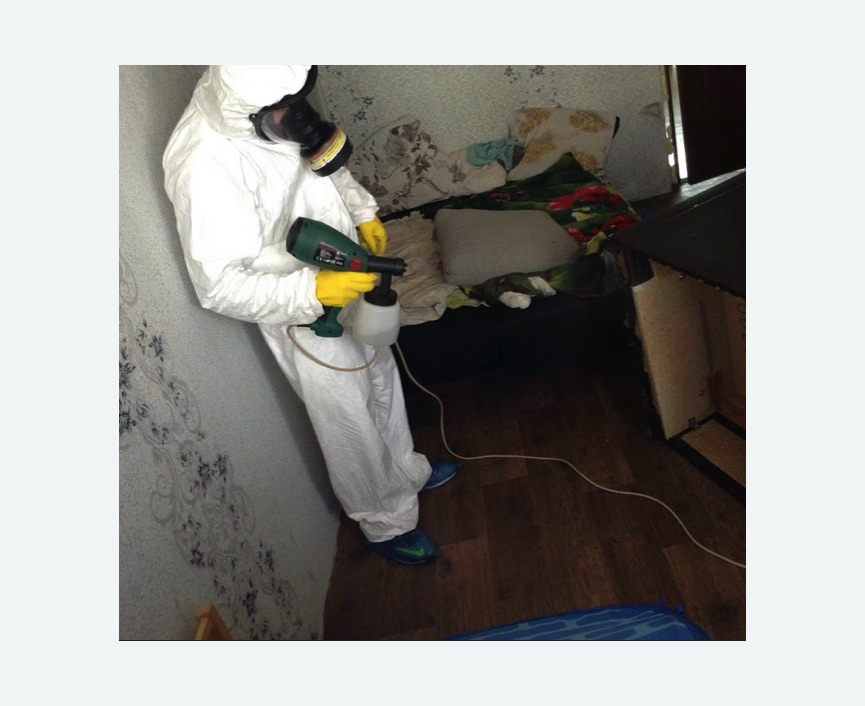 Обработка от насекомых в Артёме Обработка квартиры от насекомых
