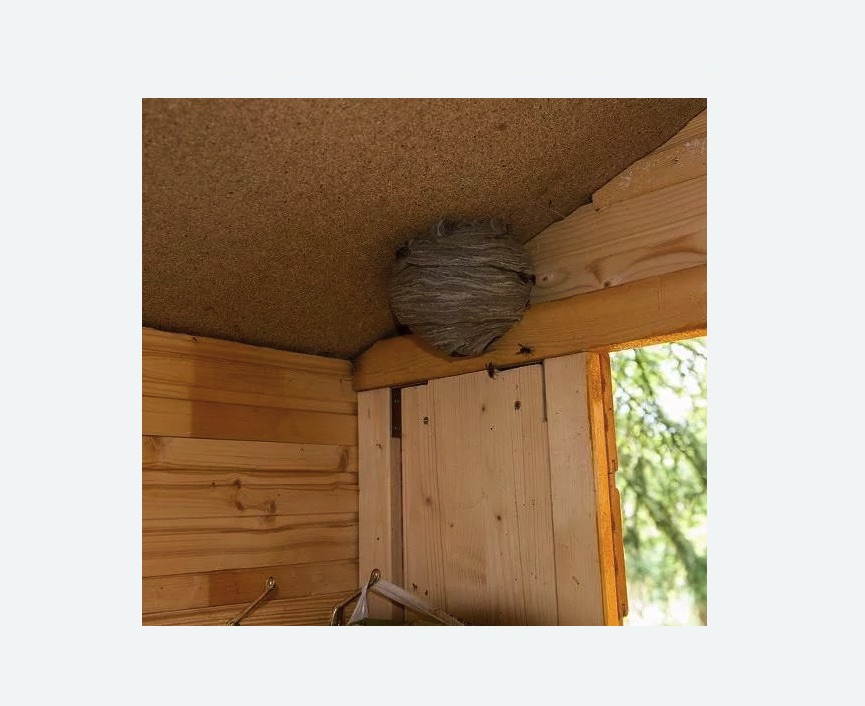 Обработка от ос в Артёме Обработка от ос