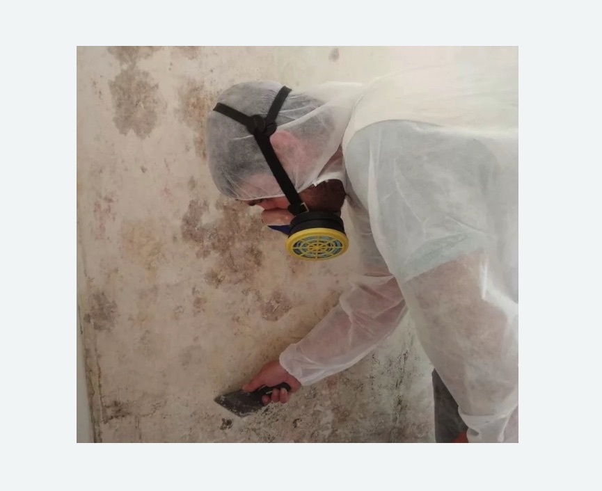 Обработка стен от плесени Обработка стен от плесени в Артёме