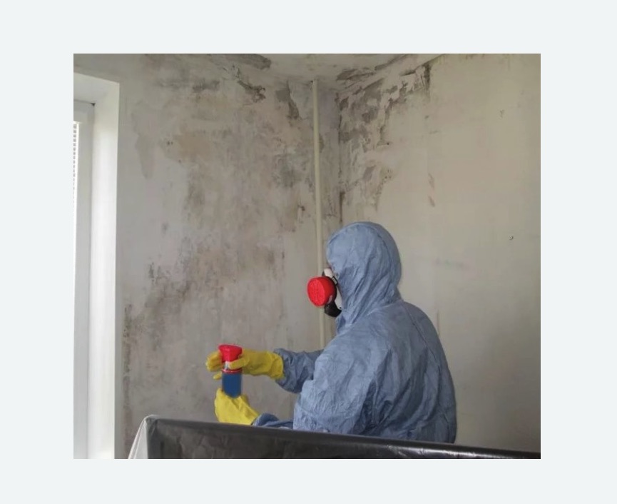 Удаление плесени в квартире Удаление плесени в квартире в Артёме