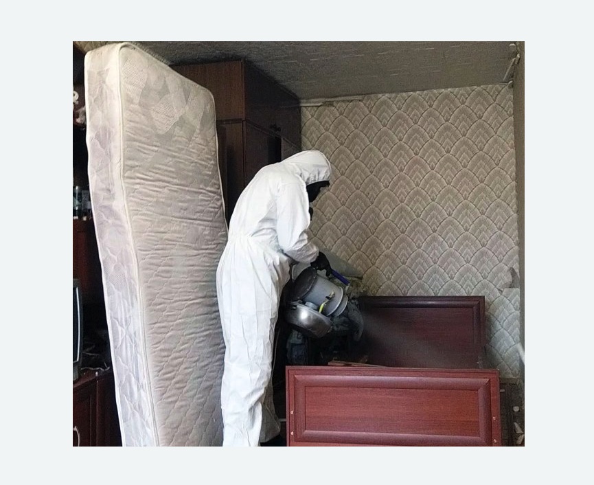 дезинфекция от клопов в Артёме