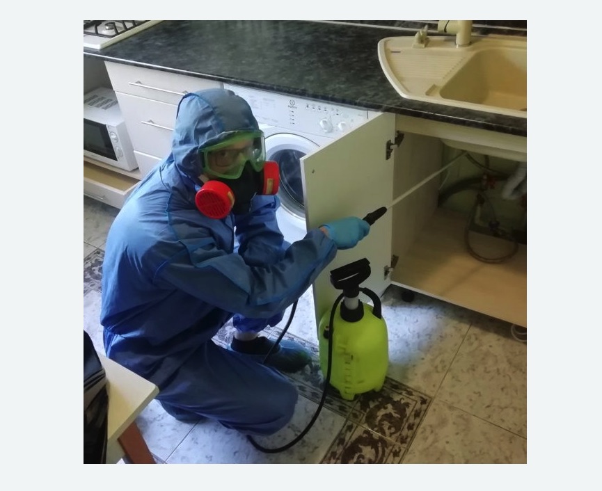 обработка от муравьев в квартире обработка от муравьев в квартире в Артёме