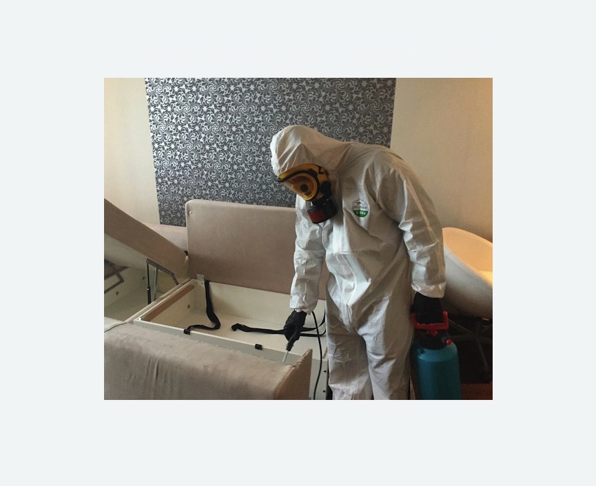 уничтожение клопов в квартире в Артёме