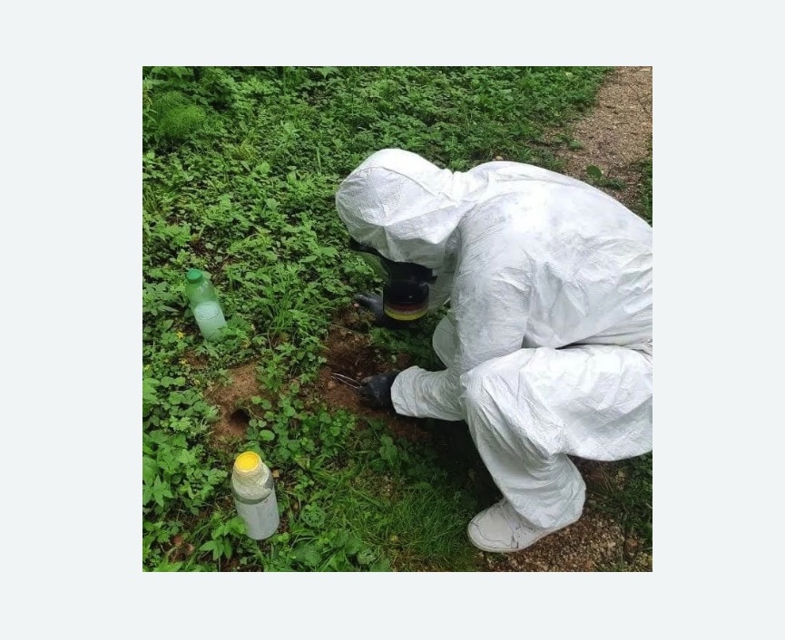 уничтожение кротов на участке уничтожение кротов на участке в Артёме