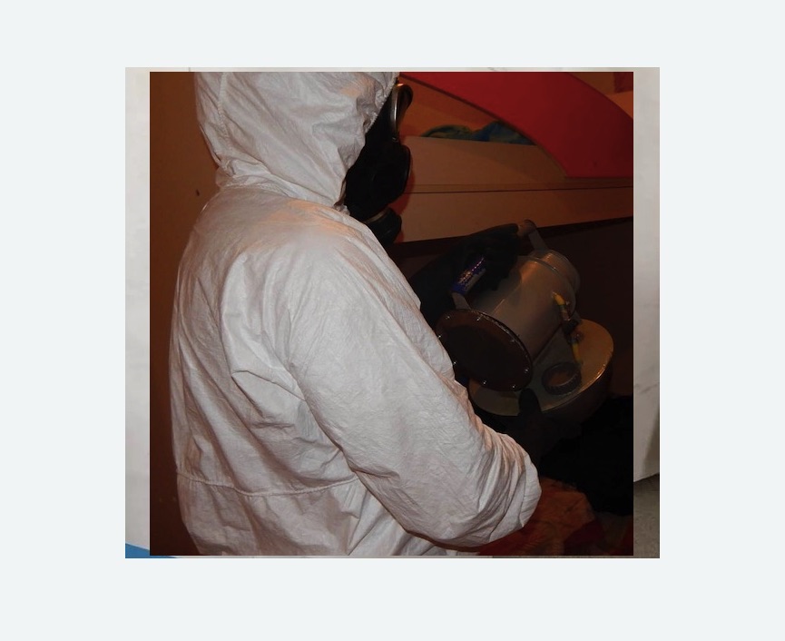 Дезинфекция от муравьев Дезинфекция от муравьев в Артёме