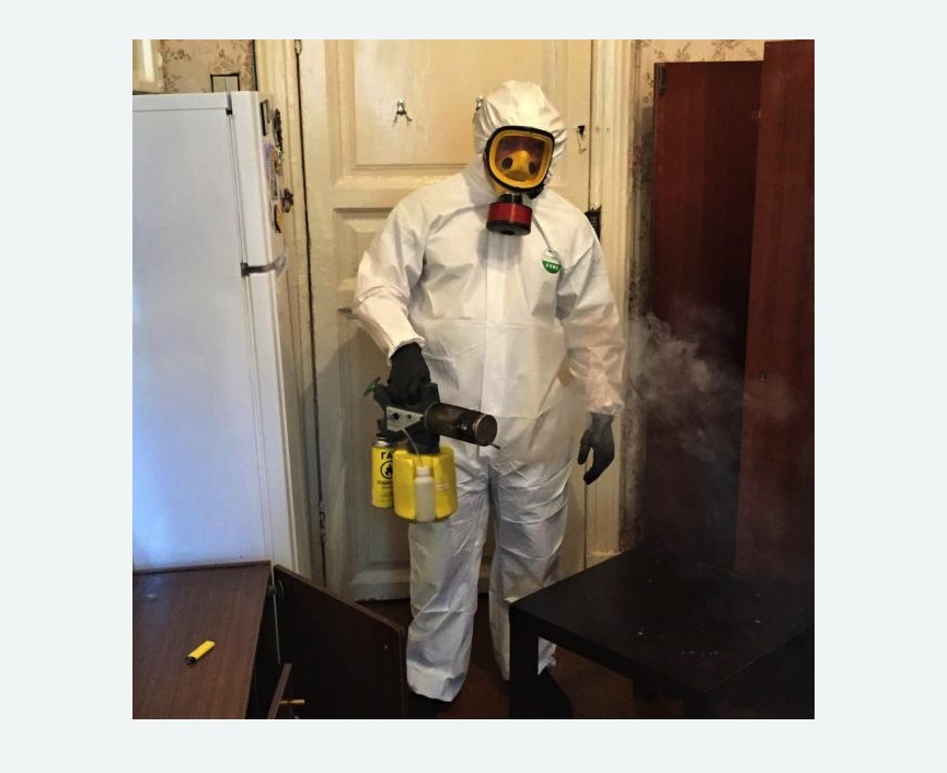 уничтожение муравьев в квартире уничтожение муравьев в квартире в Артёме